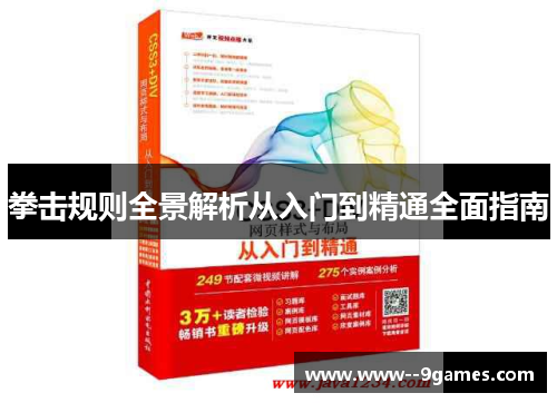 拳击规则全景解析从入门到精通全面指南