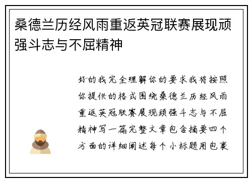 桑德兰历经风雨重返英冠联赛展现顽强斗志与不屈精神